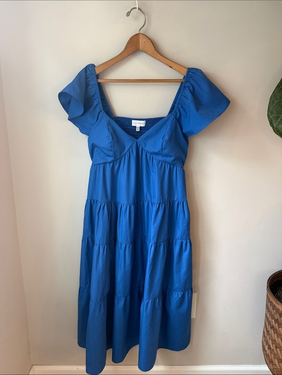 Lucy Paris Dresses & Skirts - Lucy Paris Blue Tiered Babydoll Midi Dress Puff Sleeve Cottagecore Smocked Back